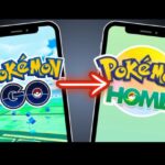 como transferir pokémon de nintendo switch a pokémon go